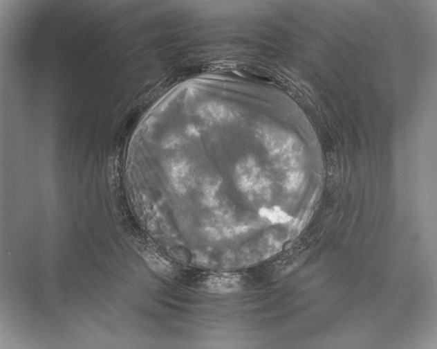 X0000072520369200608111726