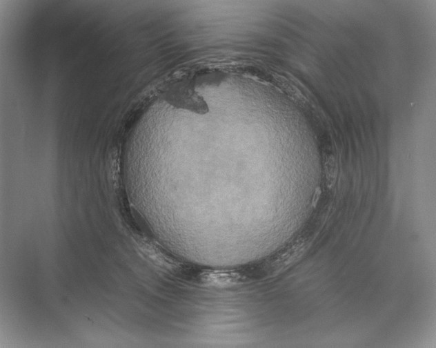 X0000072520372200608111726