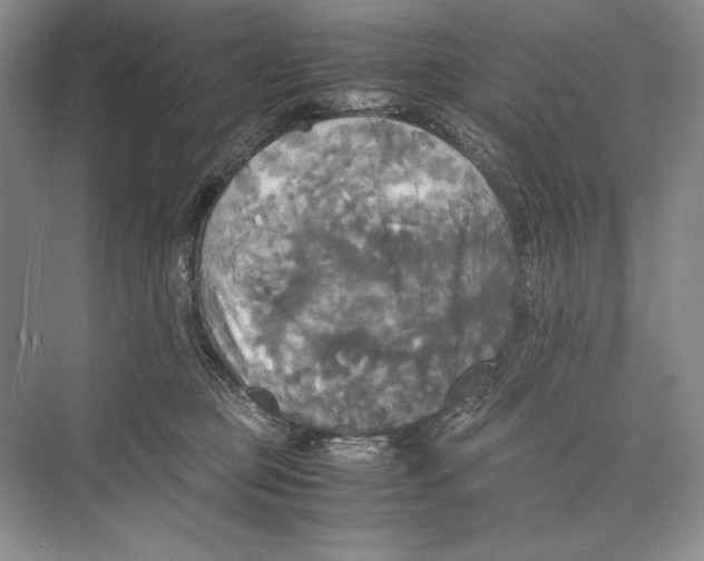 X0000072520373200608111726