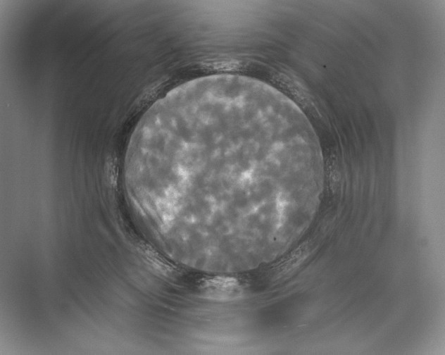 X0000072520374200608111726