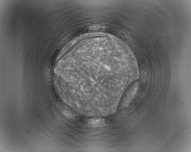 X0000072520375200608111726