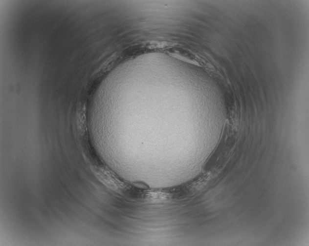 X0000072520376200608111726