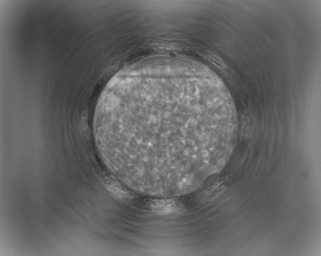 X0000072520377200608111726