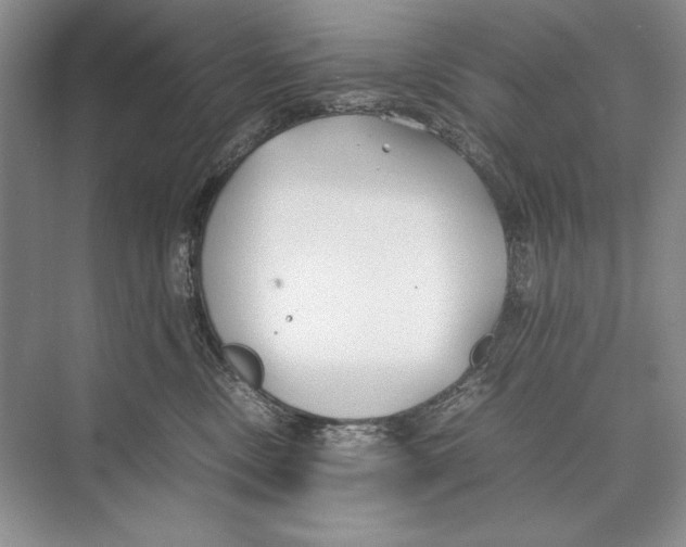 X0000072520378200608111726