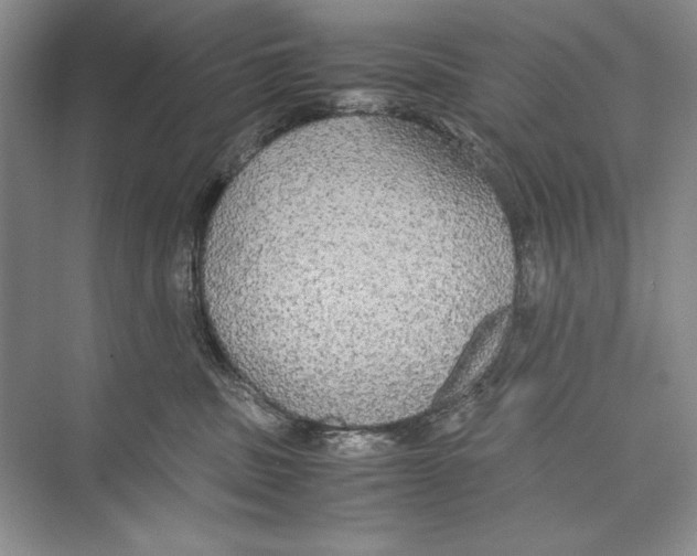 X0000072520379200608111726