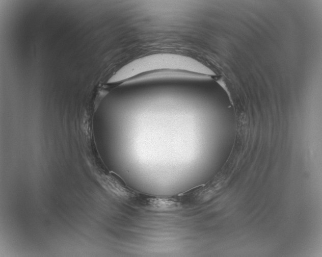 X0000072520380200608111726