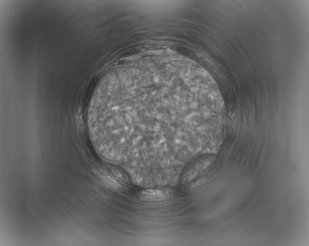 X0000072520381200608111726