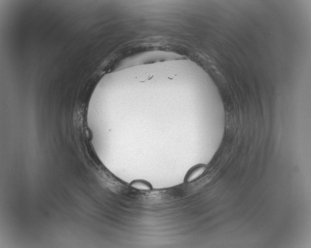 X0000072520382200608111726