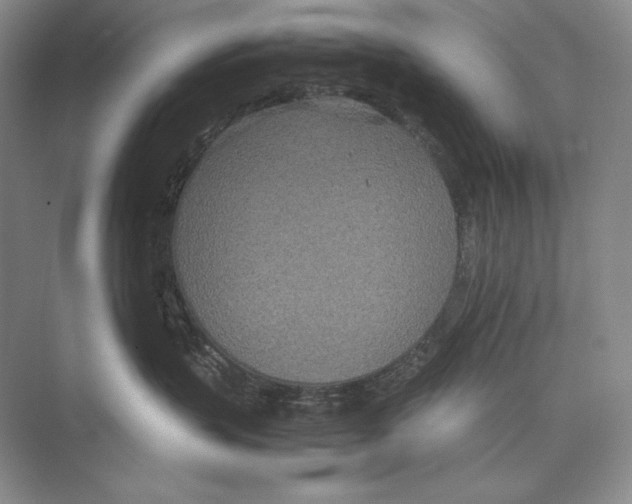 X0000072520383200608111726