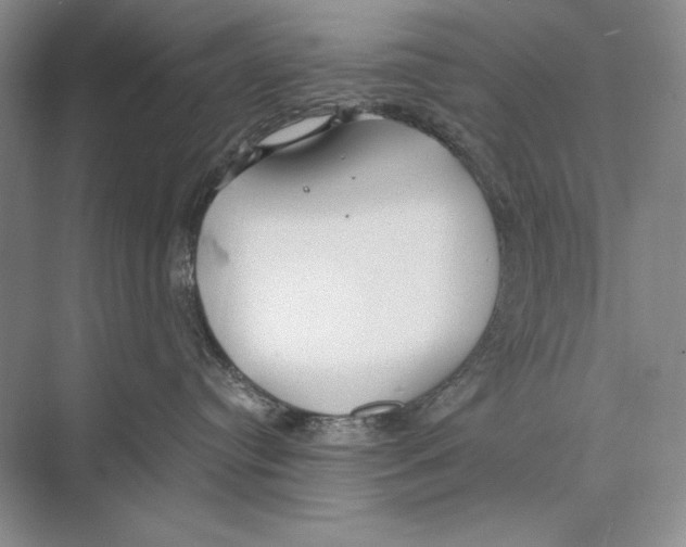 X0000072520384200608111727