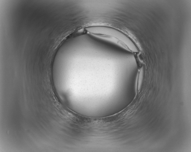 X0000072520385200608111726