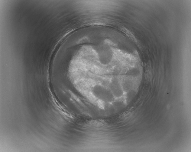 X0000072520386200608111726