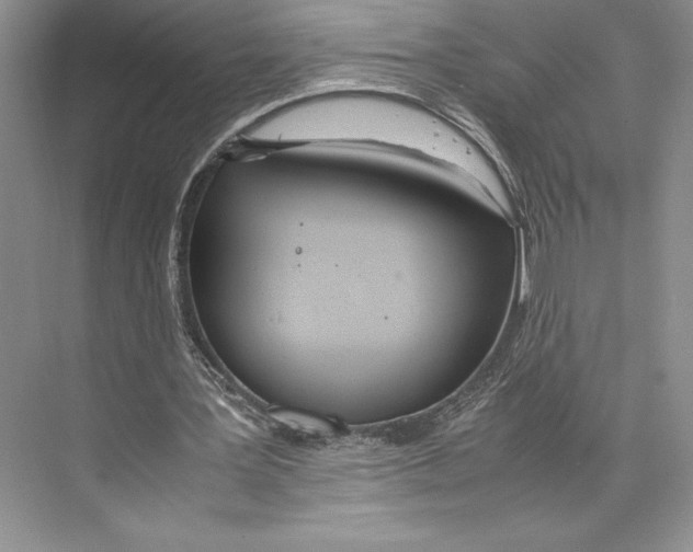 X0000072520387200608111726