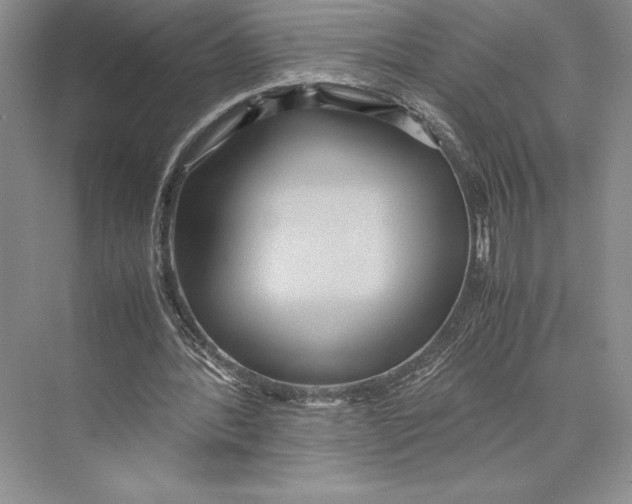 X0000072520388200608111726