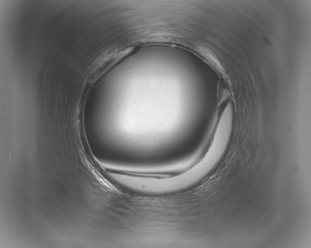 X0000072520389200608111726