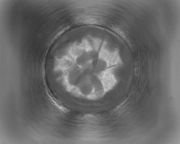 X0000072520390200608111726