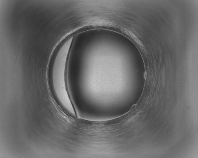 X0000072520391200608111726