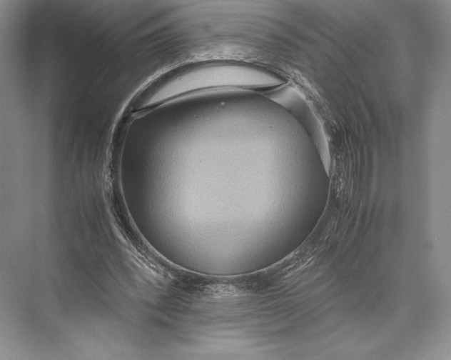 X0000072520392200608111726