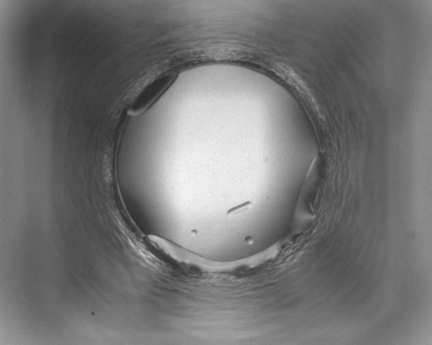 X0000072520393200608111726