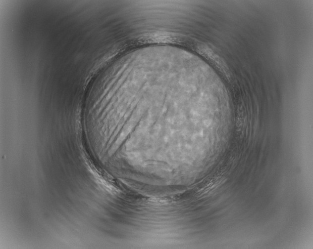 X0000072520394200608111726