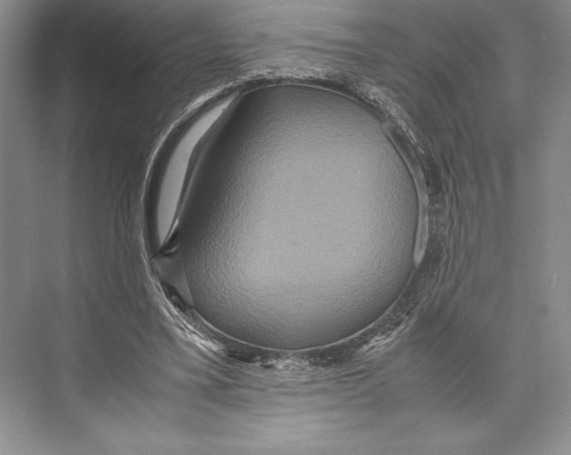 X0000072520395200608111726