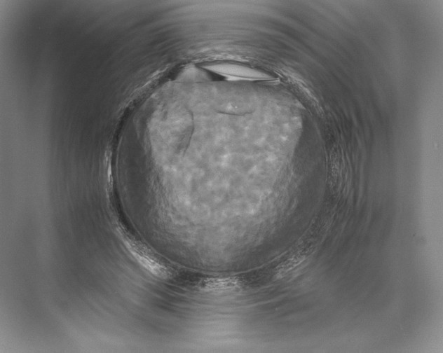 X0000072520398200608111725