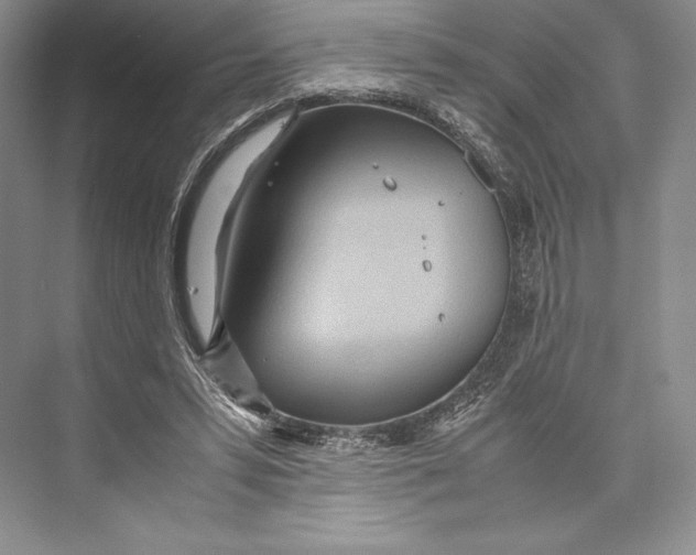 X0000072520399200608111725