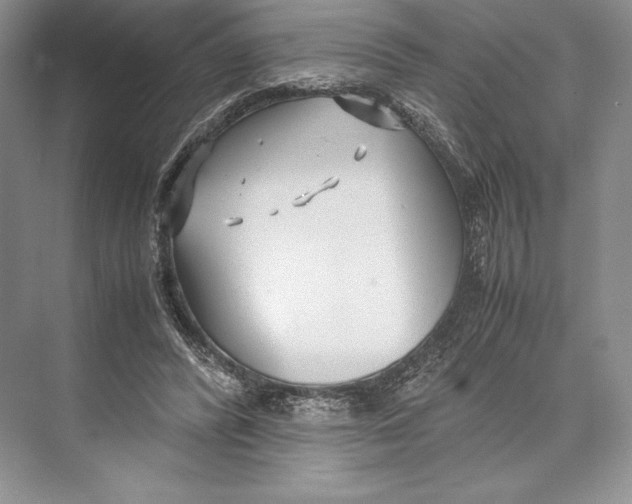 X0000072520400200608111725