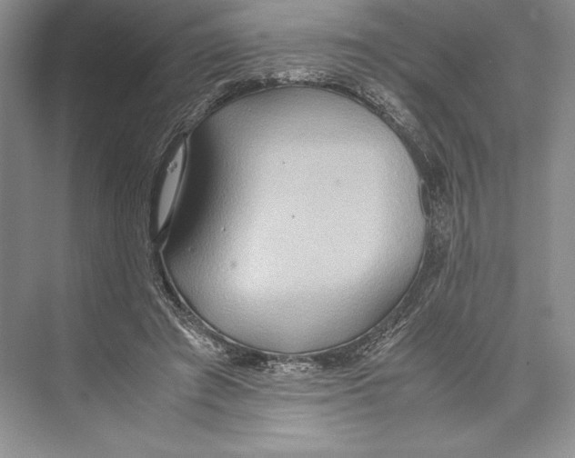 X0000072520401200608111725