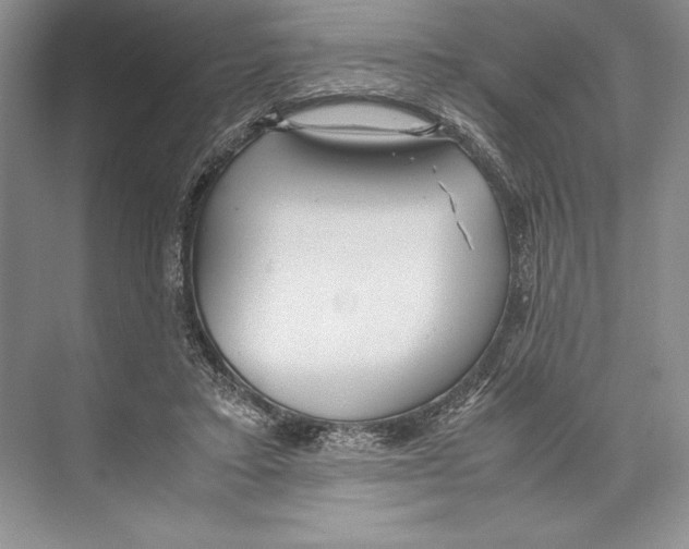 X0000072520403200608111725