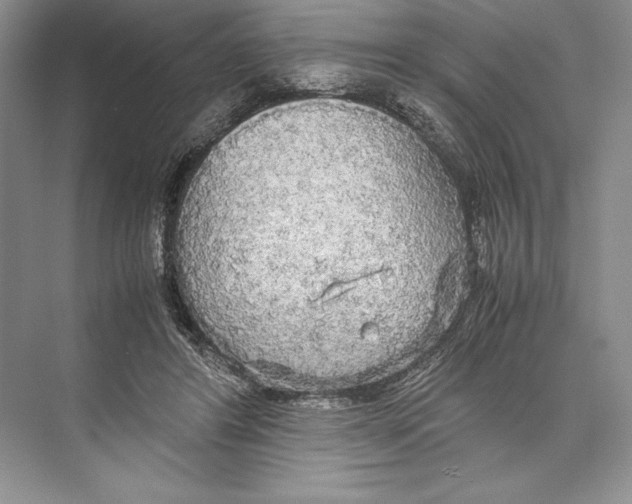 X0000072520404200608111725