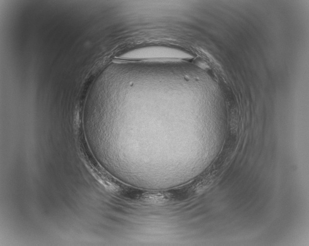 X0000072520405200608111725