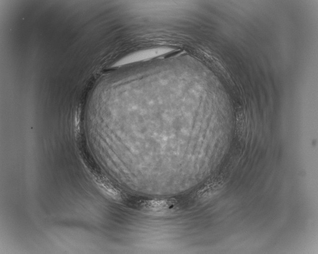 X0000072520406200608111725