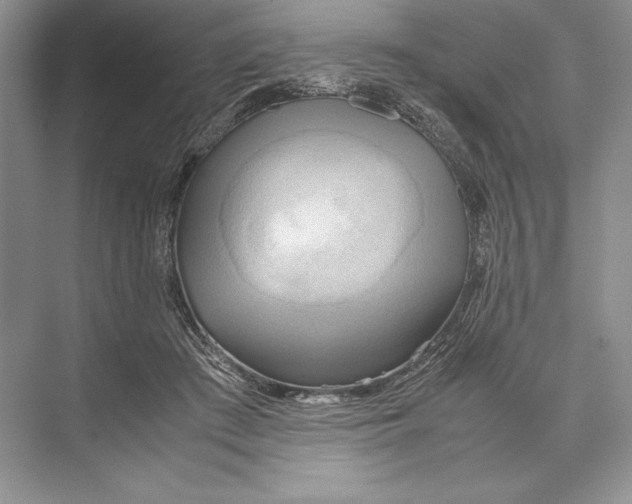 X0000072520409200608111725