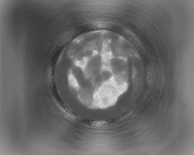 X0000072520410200608111725