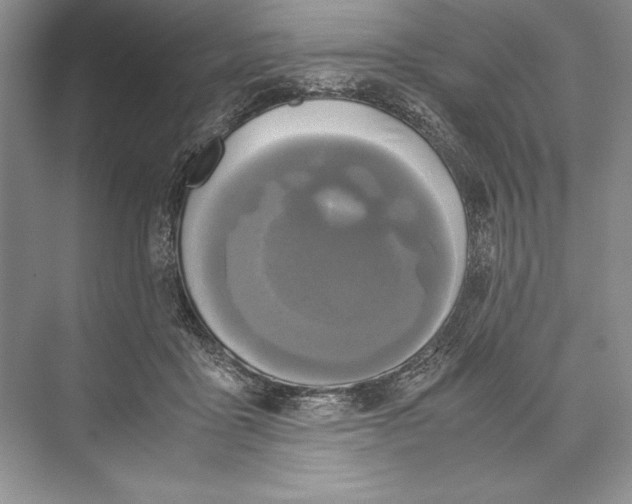 X0000072520411200608111725