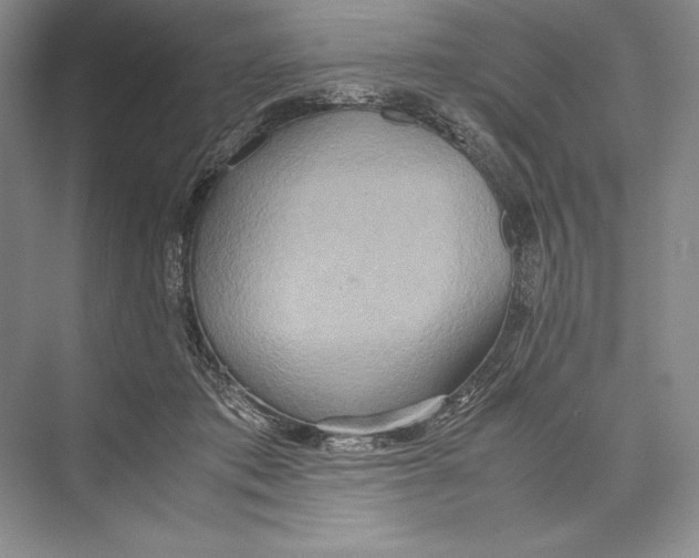 X0000072520413200608111725