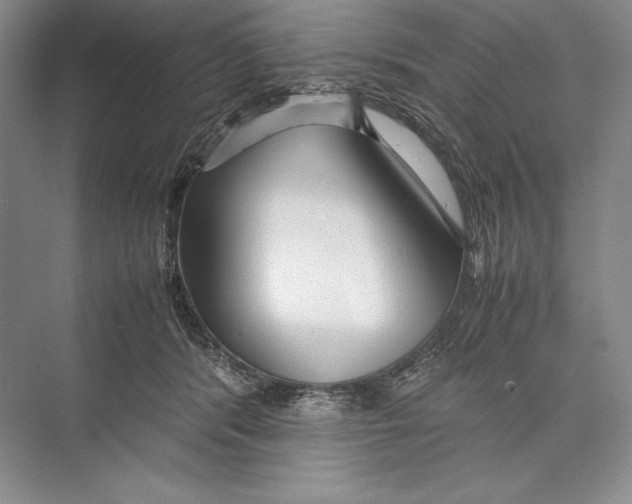 X0000072520416200608111725