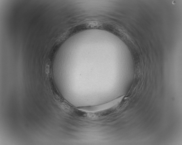 X0000072520417200608111725