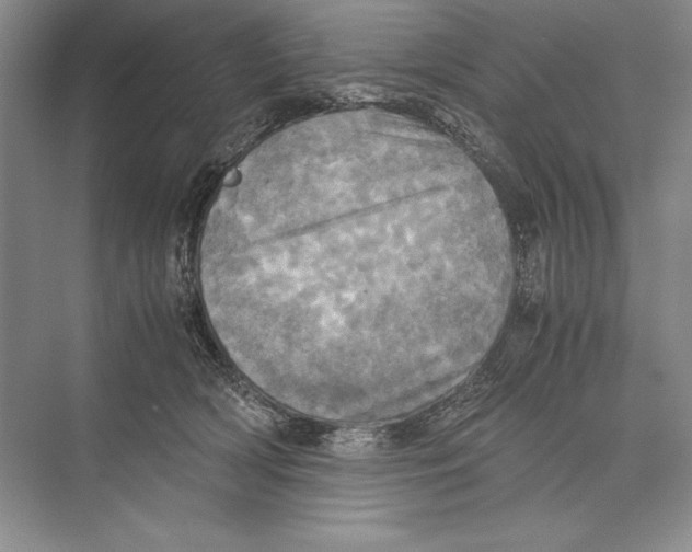 X0000072520418200608111725