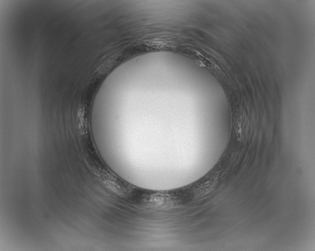 X0000072520420200608111725