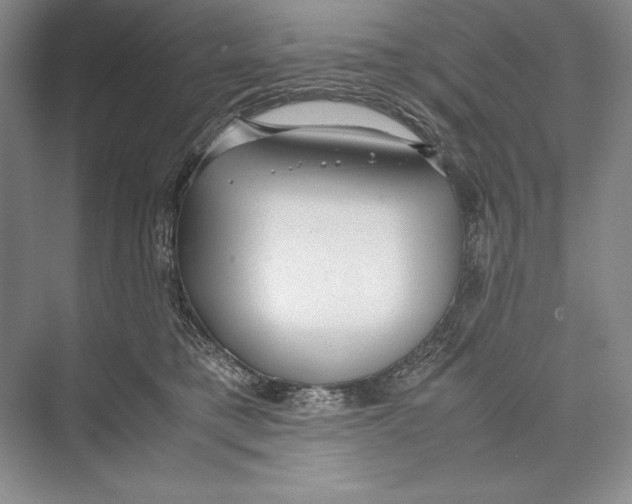 X0000072520421200608111725