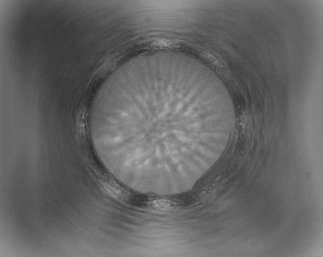 X0000072520423200608111725