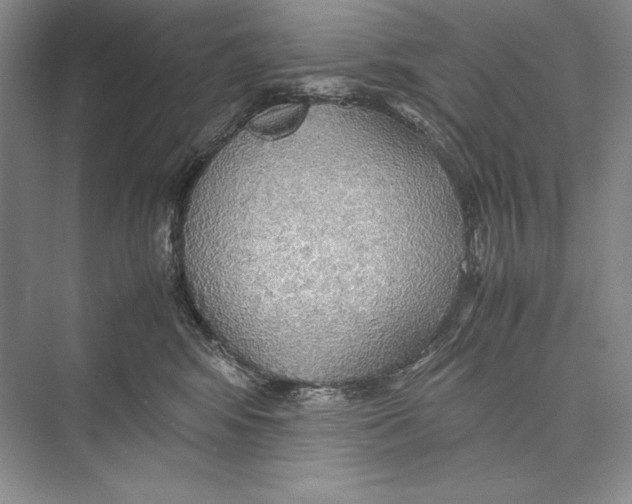 X0000072520424200608111725