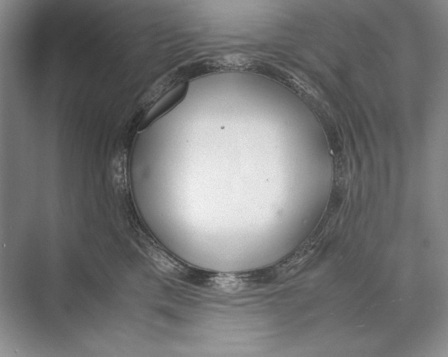 X0000072520425200608111725