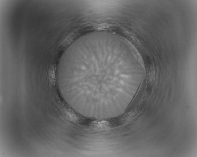 X0000072520427200608111725