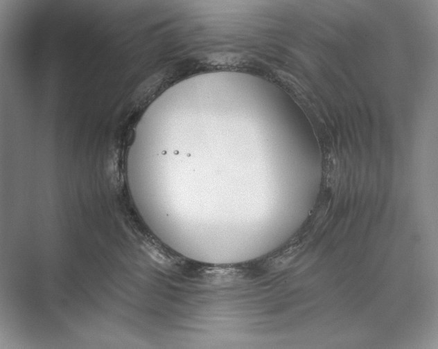 X0000072520428200608111725