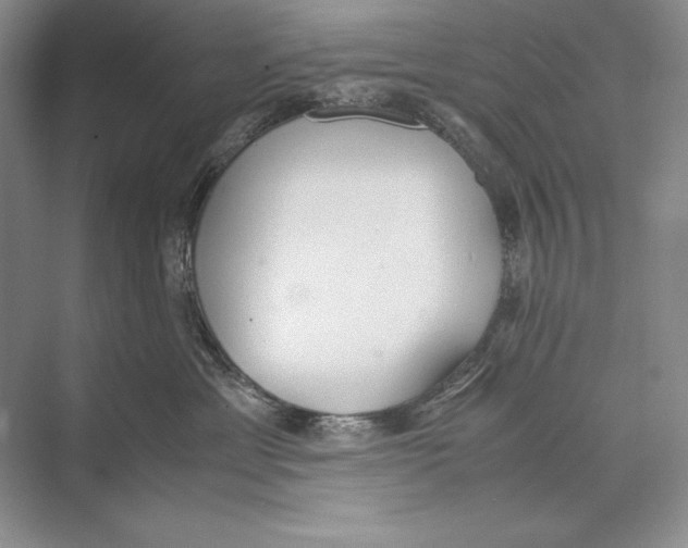 X0000072520429200608111725