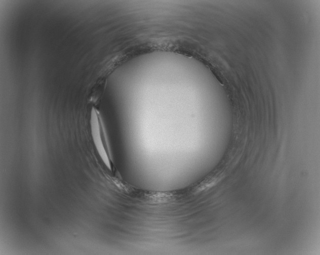 X0000072520432200608111725