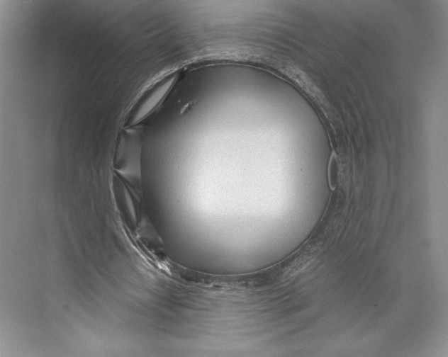 X0000072520434200608111724